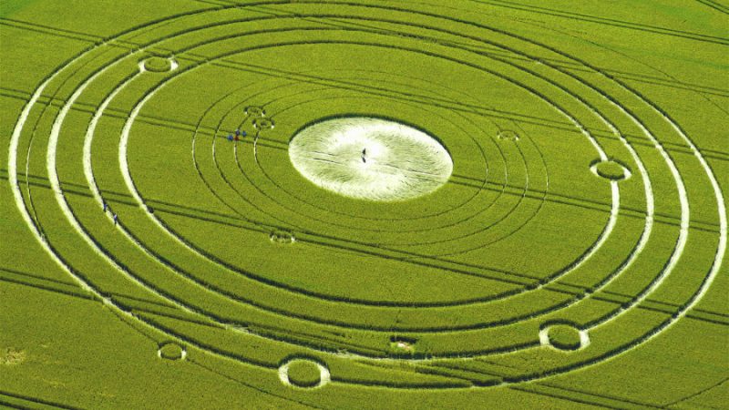Les crop circles dans le Shandarisme