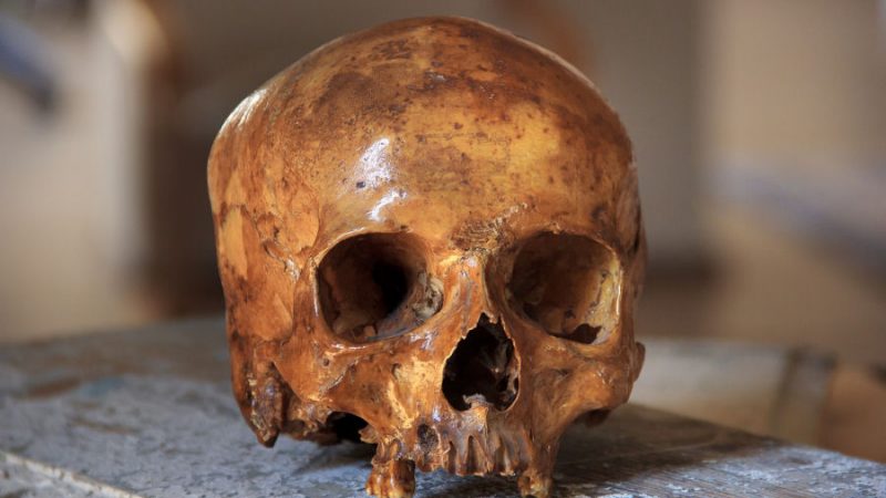 Le marquage frontal des cadavres