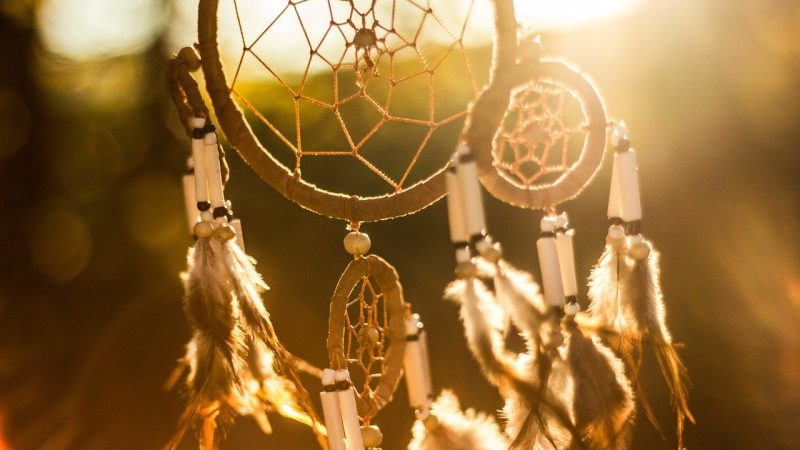 Les shandariens sont-t-ils déconnectés de la réalité?