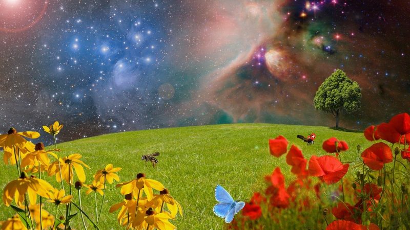 Notre raison d&rsquo;etre