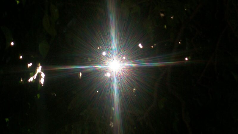 Anatomie de la Source de vie