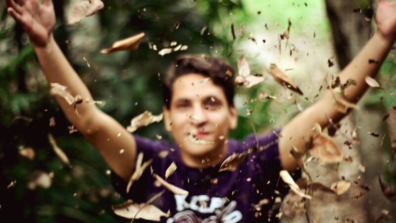 Vrais et faux Shandariens