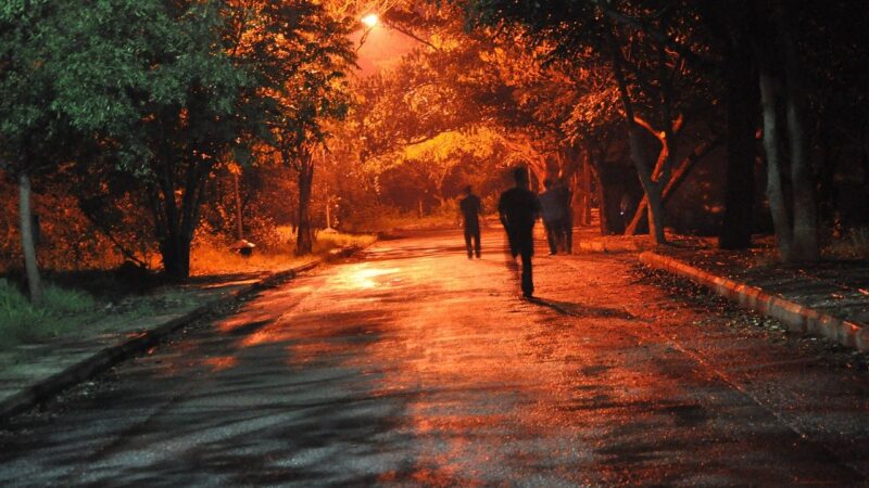 La mise en ordre de soi