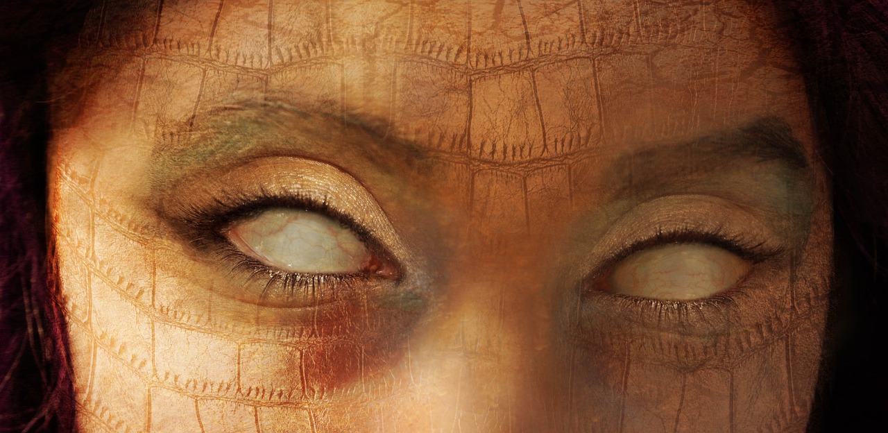 Pourquoi il ne faut jamais invoquer un esprit shandarien?