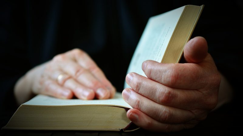 Extrait du Shandariana Dominatis: Soutien & Protection