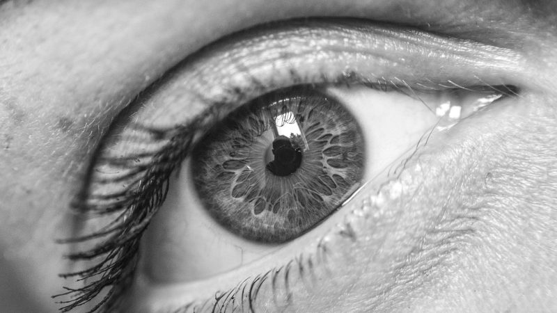 Qu&rsquo;est-ce que le Synagermós?