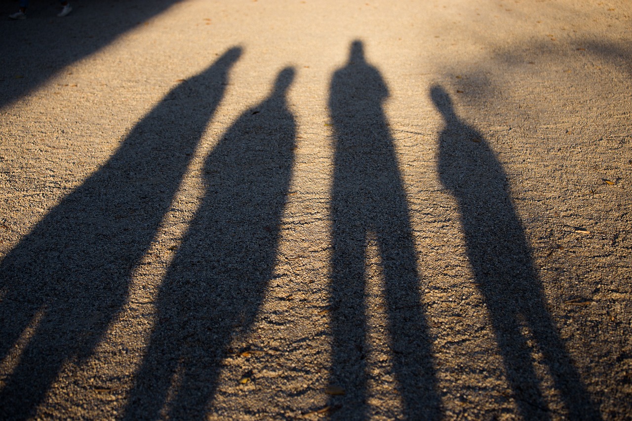 Qu&rsquo;appelle-t-on le regard des ombres?